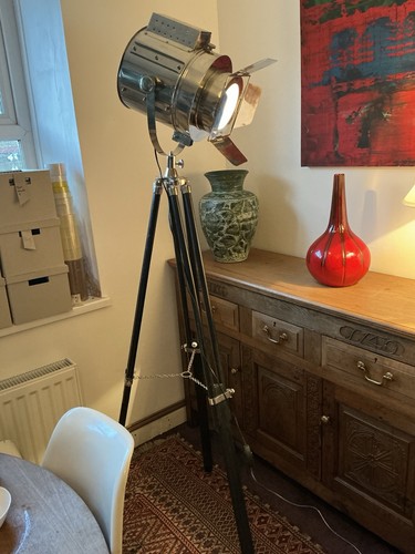 Tripod floor lamp director - tripod, lamp/director